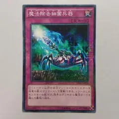2025年最新】遊戯王 魔法除去細菌兵器の人気アイテム - メルカリ