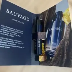Dior SAUVAGE Eau de Toilette