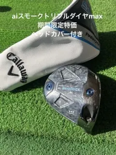 2026年最新】パラダイムaiスモークトリプルダイヤモンド 10.5の人気