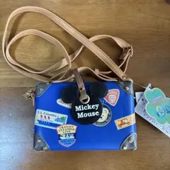 【新品未使用】東京ディズニーシー　スプリングヴォヤッジ　ポーチのサムネイル
