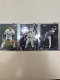 Item thumbnail for item fc93c0aa-ae42-4e49-95e8-79de8d7ec9fe