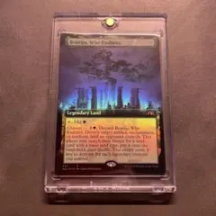 2025年最新】耐え抜くもの、母聖樹 英語の人気アイテム - メルカリ