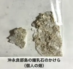 幻の牡蠣 白豆杉 - メルカリ