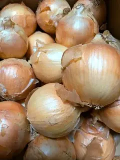 訳なし！新鮮 国産タマネギ Lサイズ【10kg】のサムネイル