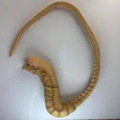 Item thumbnail for item 6f248ddf-ffb9-4a87-af6f-7406e1ca6ed3