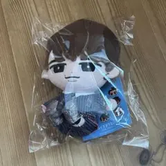 新品未開封 すのチルぶら下がらないシリーズ（BIGぬいぐるみver.)渡辺翔太