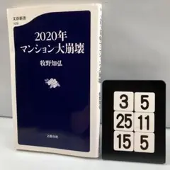 2020年マンション大崩壊 3-5*25.15*5