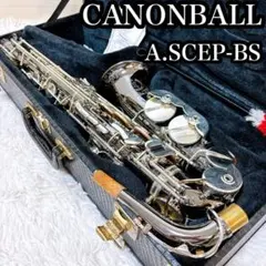 2026年最新】キャノンボール サックスの人気アイテム - メルカリ