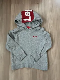 Item thumbnail for item 40bf5aa9-8d8d-44e4-9763-afab47bd750f