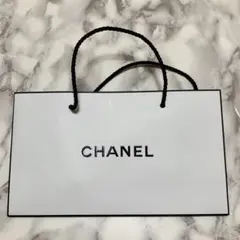 CHANEL Dior coach ショップ袋 3枚セット