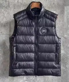   Arctic Program ダウンベスト ブラック 2025年最新】カナダ グース ダウンベストの人気アイテム - メルカリ