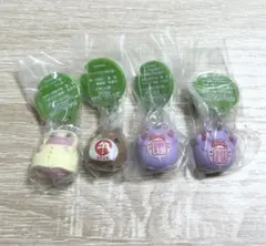 FROG STYLE(フロッグスタイル) めじるしアクセサリー　4種類セット