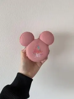 ディズニー 40周年 ミニスナックケース マカロン