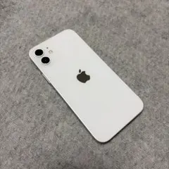 iPhone12 本体 / 初期化済み・SIMフリー