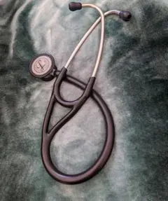 Item thumbnail for item c3f112bd-a552-4187-973c-105bb362d9a2