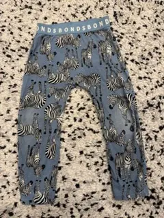 Item thumbnail for item 1678734d-0e24-4971-9d4b-fa229377dc7d