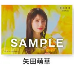 矢田萌華 / 是非に及ばず セブンネット限定特典 生写真 - メルカリ