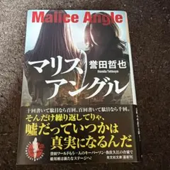 マリスアングル