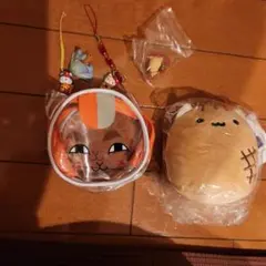 Item thumbnail for item 0af66dd8-0b45-4c2f-82db-78edb986c894