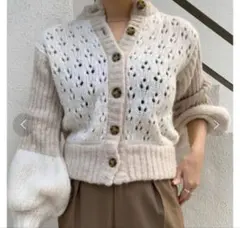 SHENERY シーナリー 透かし編み切替カーディガン ボリューム袖 ウール混