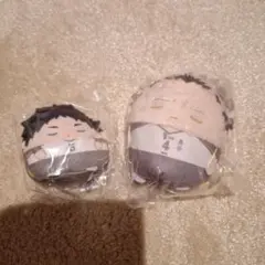ハイキュー ふわコロりん 木兎光太郎D賞赤葦京治E賞セット
