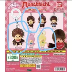 モンチッチ めじるしアクセサリー2 3種セット