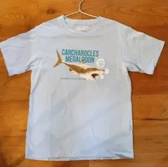 ユニクロ　Tシャツ 150 サメ　スミソニアン国立自然史博物館のサムネイル