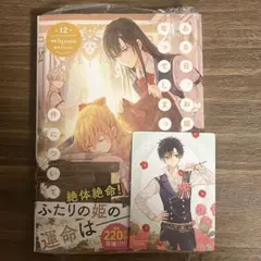 ある日、お姫様になってしまった件について 12巻