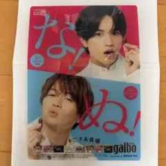 【ふまけん】中島健人 菊池風磨 下敷き ガルボ タイムレス セクシーゾーン 美品