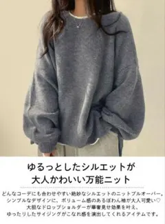 新品 未使用 タグ付き 試着のみ レスペランス ニット プルオーバー