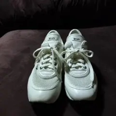 Item thumbnail for item 2eeb0e56-66c9-4e5f-8bee-00f0ce483722