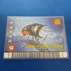 2026年最新】ハスタートノコギリクワガタの人気アイテム - メルカリ