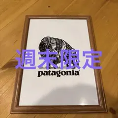Patagonia アートフレーム バイソンロゴ