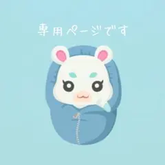 【匿名発送】 あつまれどうぶつの森 amiiboカード セット　④