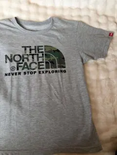 THE NORTH FACE カモフラージュTシャツ NT31622