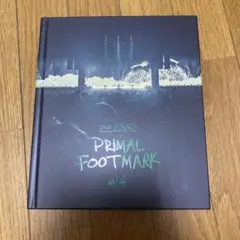 ONE OK ROCK PRIMAL FOOTMARK #14