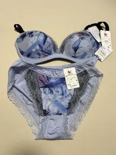 ブラジャーショーツセット C65 青系デザイン