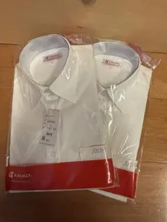 Item thumbnail for item 715fbb36-6090-48c4-9a43-28c243835265