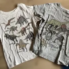 UT恐竜プリント Tシャツ 2枚 130サイズ