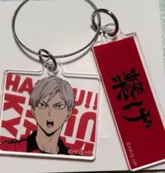 ハイキュー!!  トレーディングアクリル2連キーホルダー　灰羽リエーフ