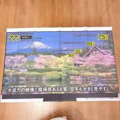 비매품 Panasonic TV 크기 비교 포스터 50~77V형 대형