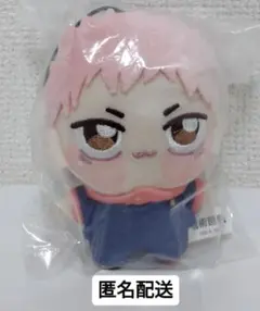 2025年最新】ちょぴぬい 虎杖悠仁の人気アイテム - メルカリ