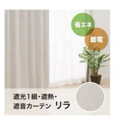 Item thumbnail for item c4ed25e8-1808-4a4b-94df-0d1c4ed0682d