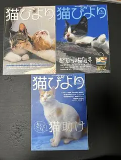 Item thumbnail for item 94518d08-2a67-416f-9ce2-51cd0dfdd5ba