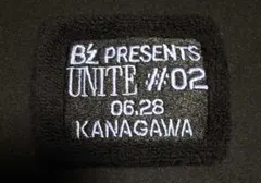 Item thumbnail for item 793fd0fe-2012-4026-982d-df0348f7392a