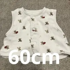 【限定品】アカチャンホンポ赤ちゃんの日限定ベアーリバーシブルベスト