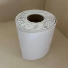 Item thumbnail for item 1bcea957-0d93-4bf5-9822-b4168d3a8c2b