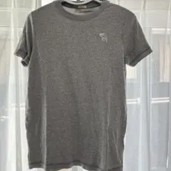 Abercrombie & Fitch グレー Tシャツ M