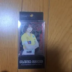 Item thumbnail for item 58d5e45e-1b90-4d96-a661-ddc9bf29f60e