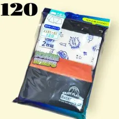 Item thumbnail for item 209db753-0326-4ae6-8ff3-ea85047f9f16